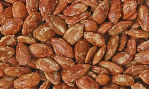 تصویر 1 از قیمت تخمه ژاپنی شور + خرید باور نکردنی